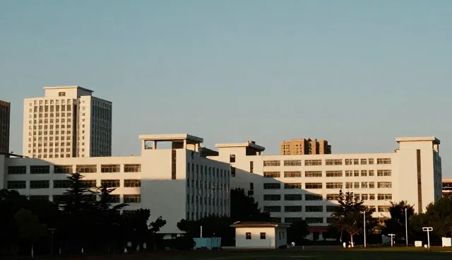 企业数据管理平台在实际应用中的性能表现问题
